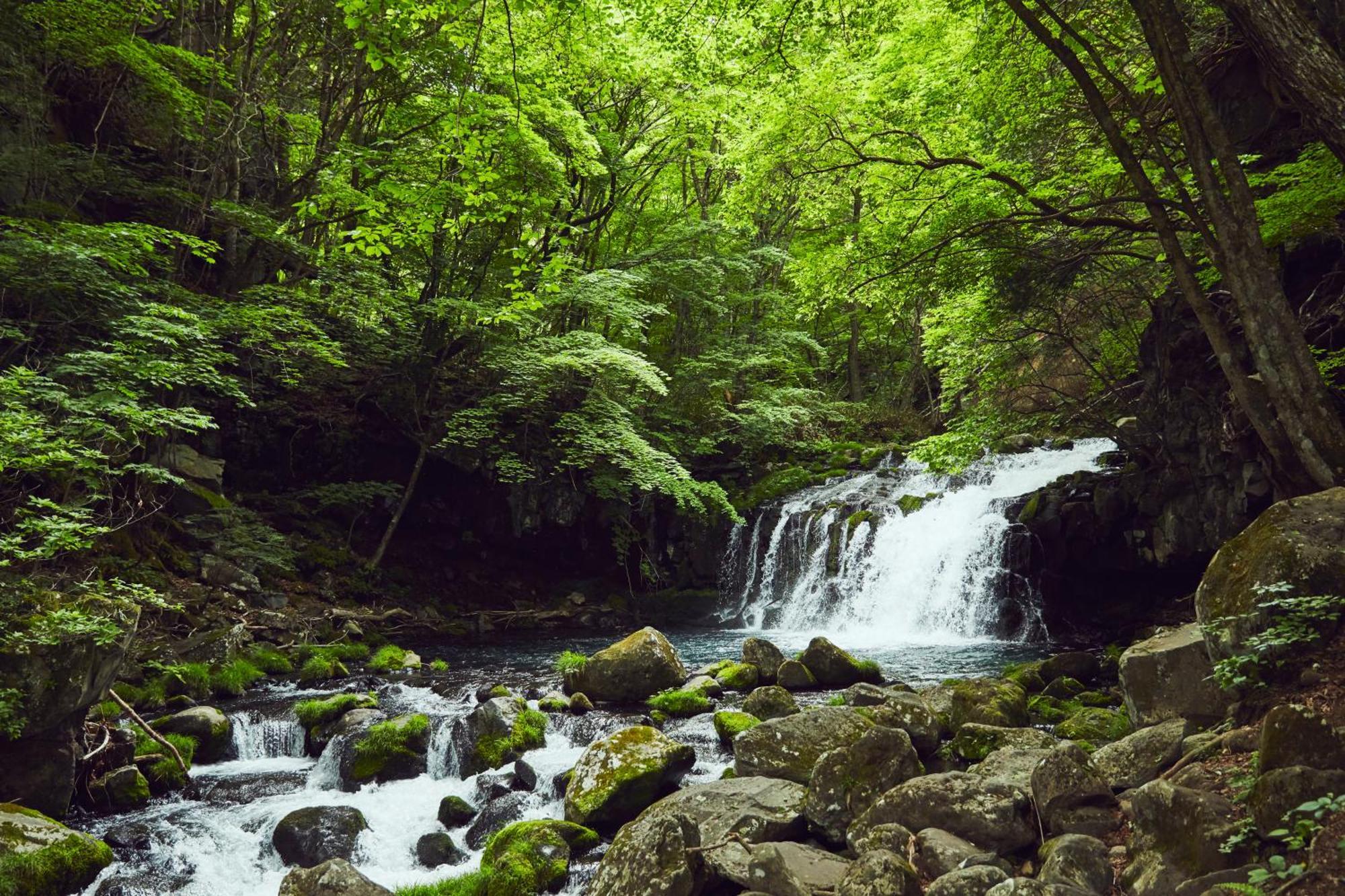 Tateshina Shinyu Onsen Hotel Csino Kültér fotó