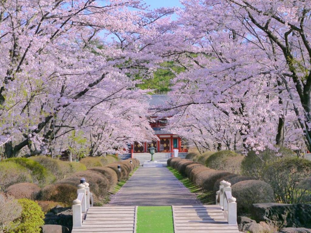 Tateshina Shinyu Onsen Hotel Csino Kültér fotó